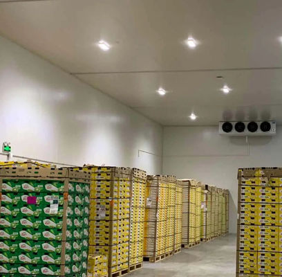 ปรับปรุงห้องเย็น PU แพนล ความแข็งแรงในการกดสูง 200kpa และความยาว ปรับปรุงให้กับผลงานการเย็นที่ดีที่สุด