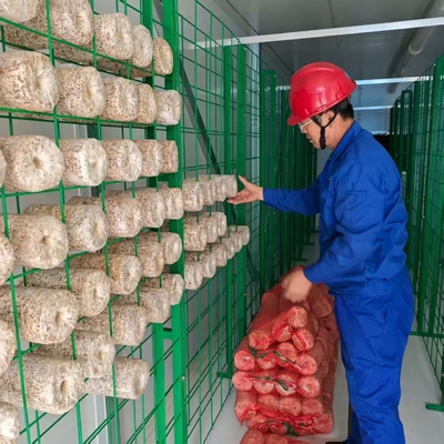 ปรับอุณหภูมิความชื้นอย่างแม่นยํา การปรับอากาศ การส่องแสง