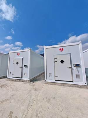 การเพาะเห็ด