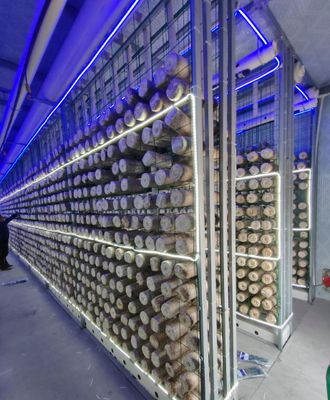 ฟาร์มเห็ดคอนเทนเนอร์บำรุงรักษาง่าย พร้อมระบบตรวจสอบระยะไกล และตู้คอนเทนเนอร์ขนาดมาตรฐาน 20 ฟุต หรือ 40 ฟุต