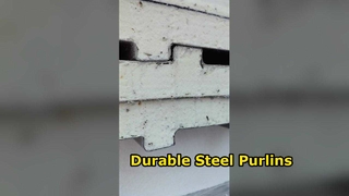 แผ่นซานด์วิชพู